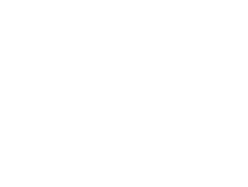 Never Seen Again