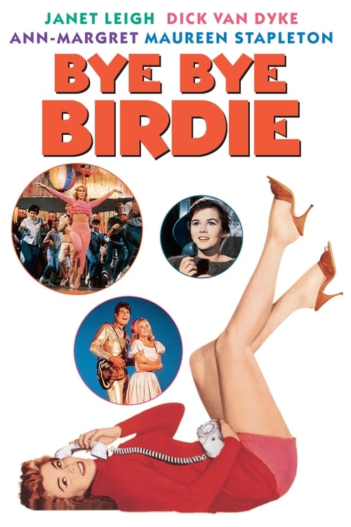 Bye Bye Birdie 1963