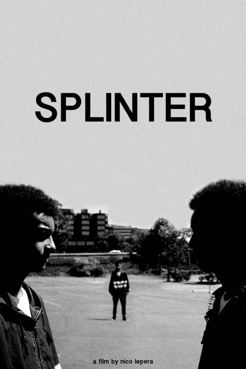 Poster Splinter 2020