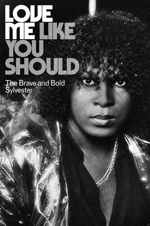 Poster Love Me Like You Should: The Brave and Bold Sylvester 2020