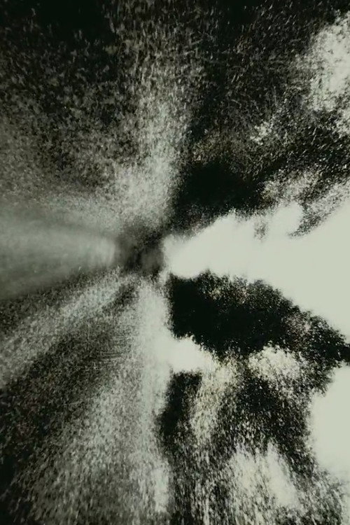 Brouillard #19 still 2