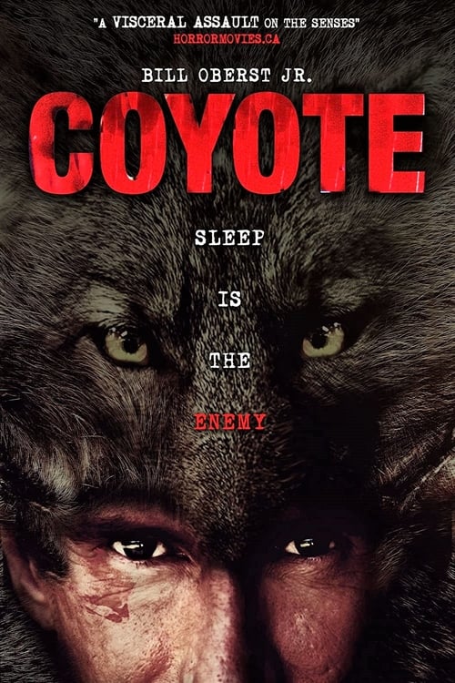 Coyote poster