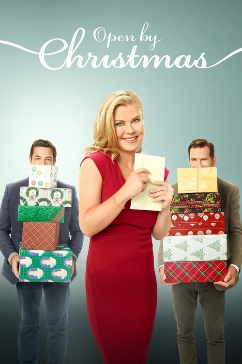 Open by Christmas poster