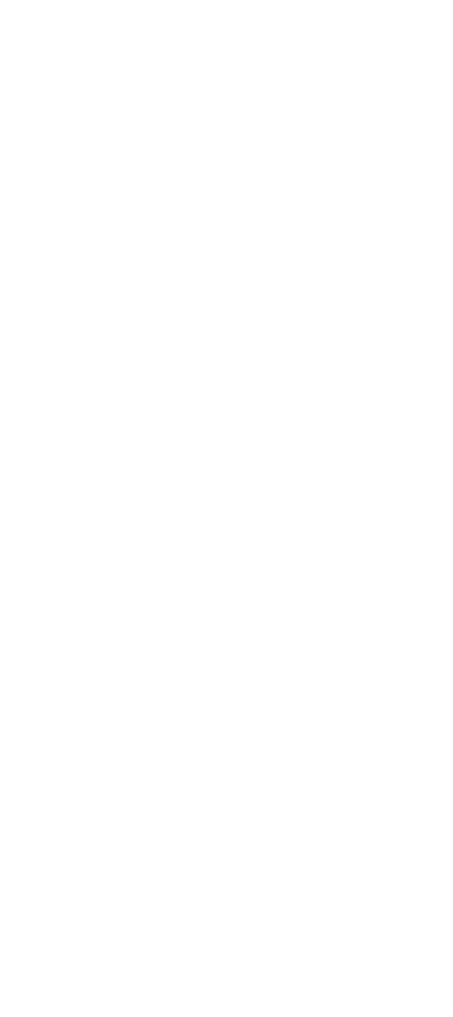 红毯先生