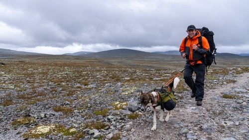 Monsen og nasjonalparkene