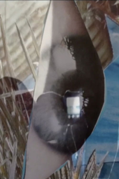 Not my autobiography?