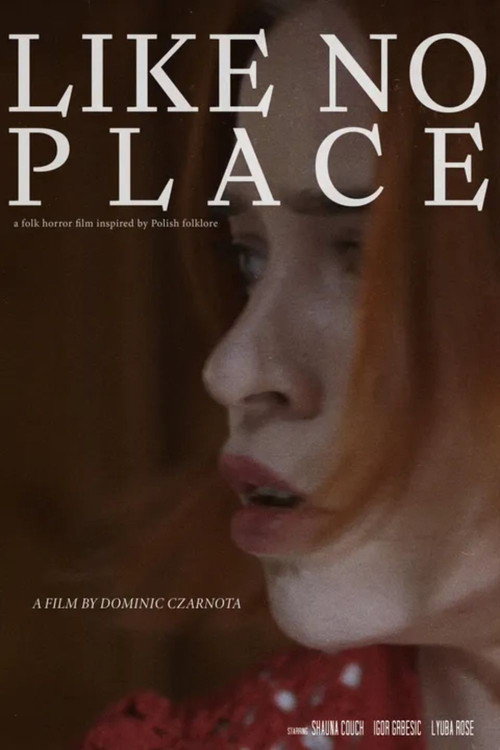 Like No Place poster