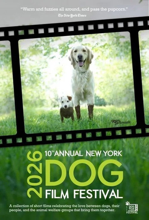 2026 New York Dog Film Festival
