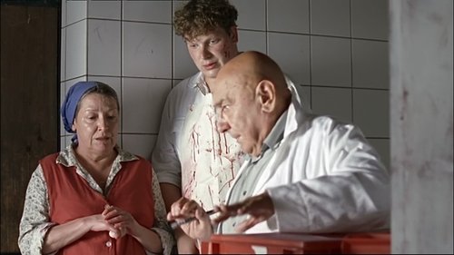 Escena del episodio 3 de la temporada 2 de la serie Vier Frauen und ein Todesfall