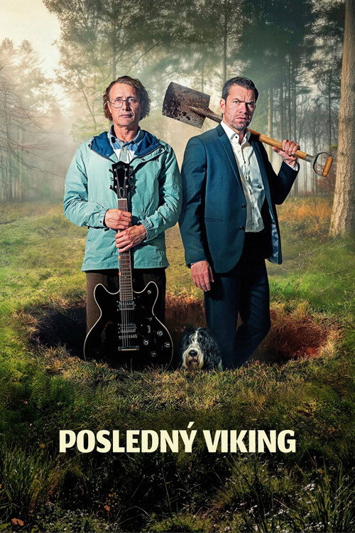 Posledný Viking