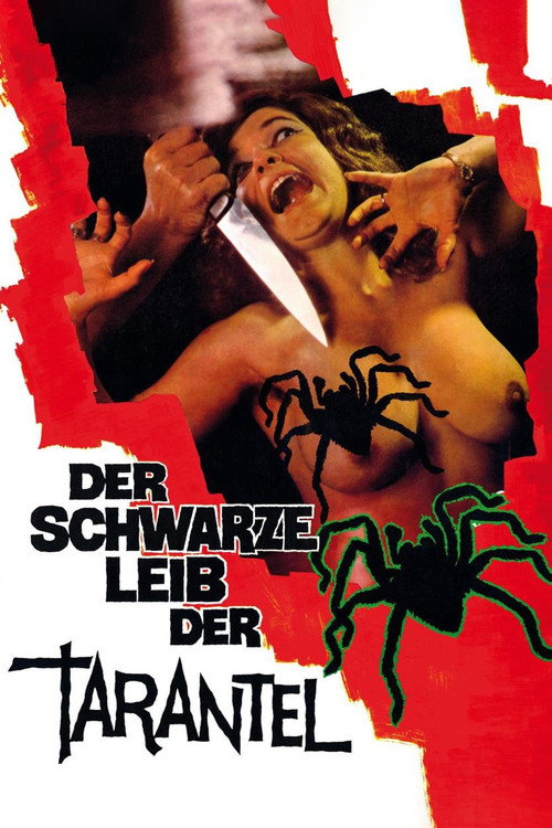 Der schwarze Leib der Tarantel