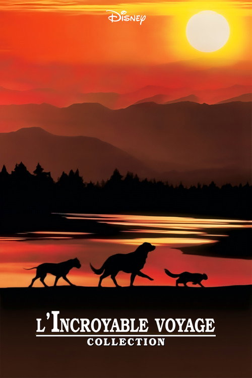 L'incroyable voyage - Saga