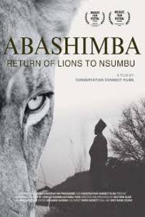 Abashimba: The Return of Lions to Nsumbu