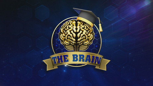 The Brain