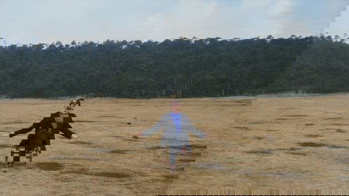 El inicio de una historia de amor