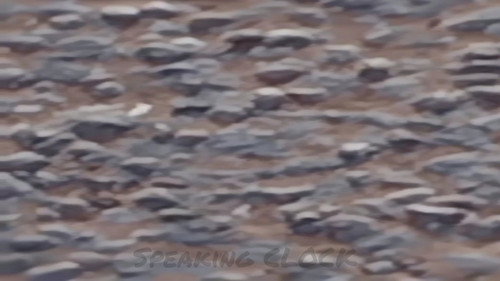 Speaking Clock Backdrop Blur
