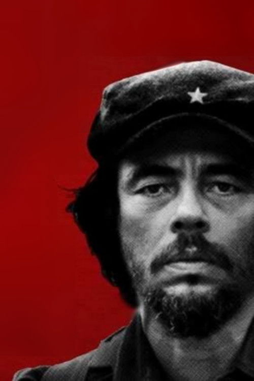 Pòster de Che Collection