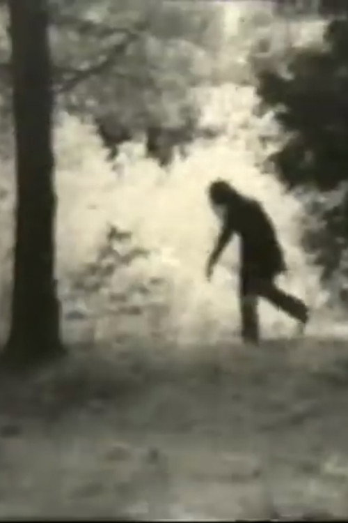 Cartell de The Revenge of the Goonie Monster