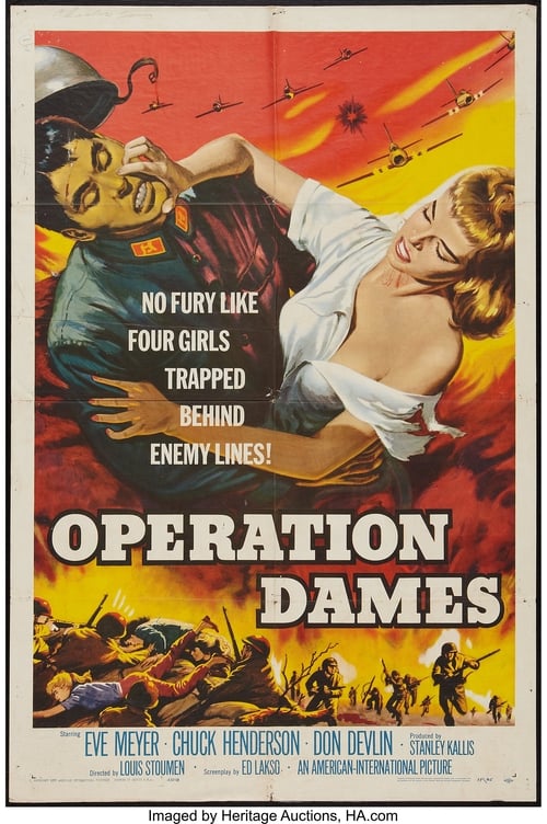 Operation Dames poster