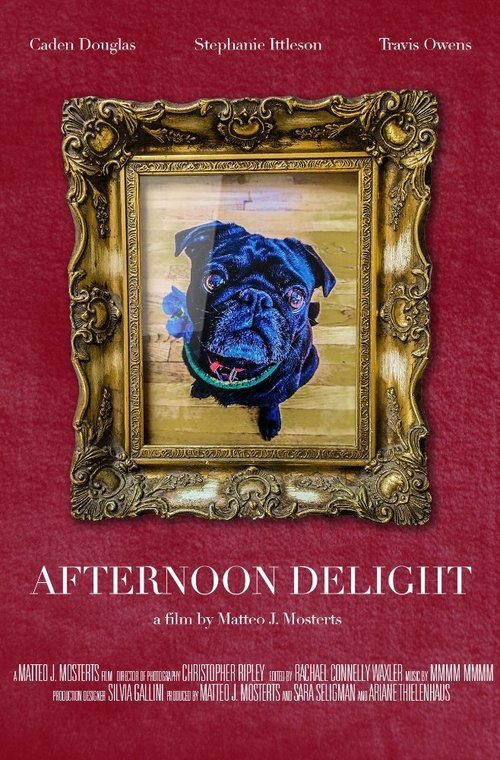 Afternoon Delight. movie poster player