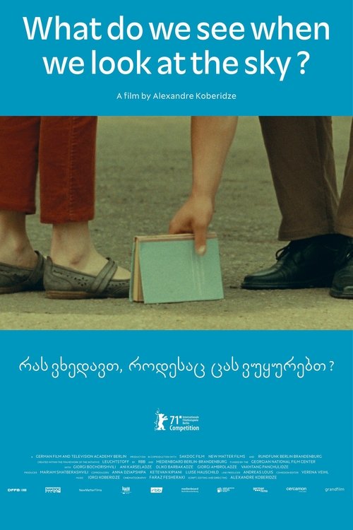 Poster 6