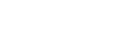 My Best Friend's Wedding Planner