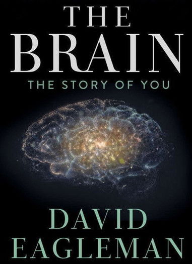 Escena 2 de El cerebro con David Eagleman