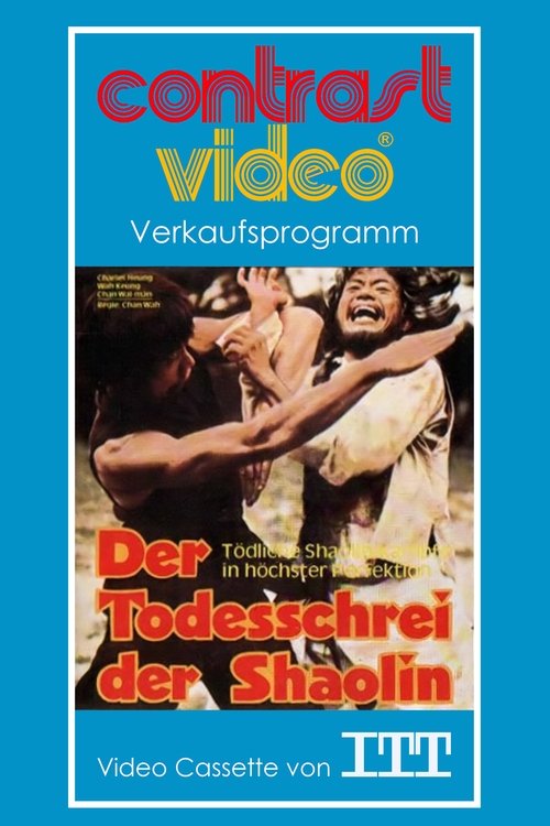 Mysterious Footwork of Kung Fu movie poster player
