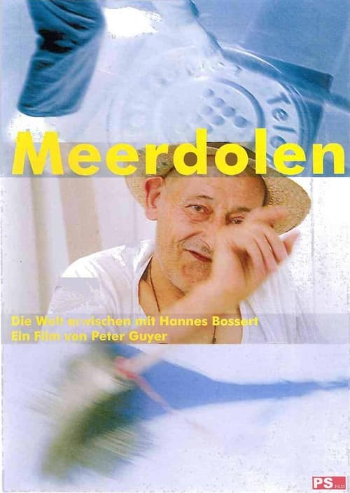 Poster Meerdolen 2006