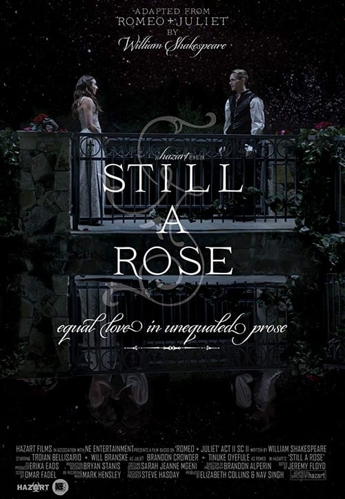 Still a Rose poster