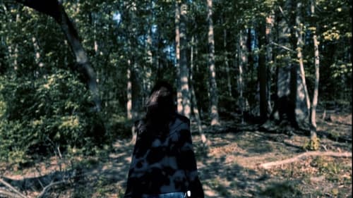 The Silence Story Backdrop Blur