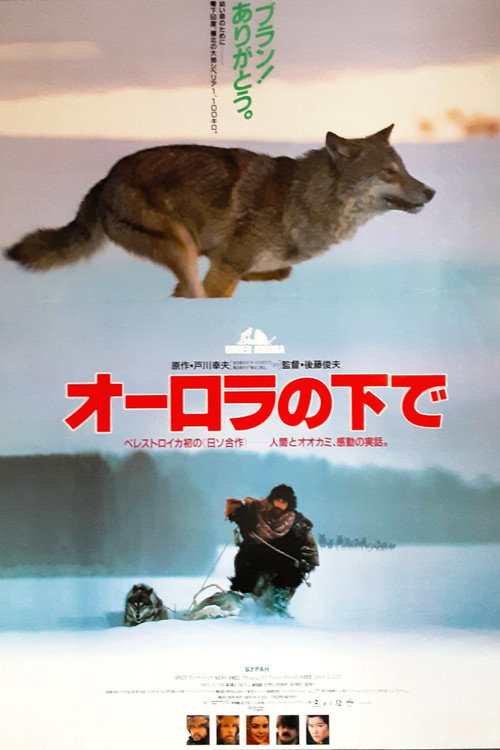 Aurora Borealis poster