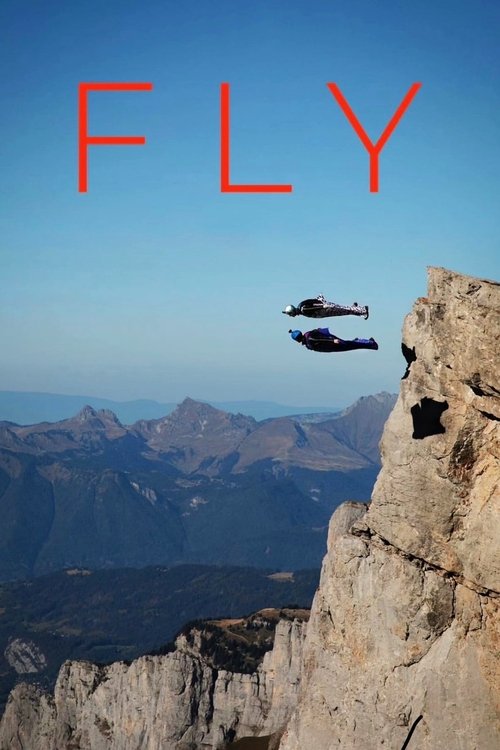 Fly poster