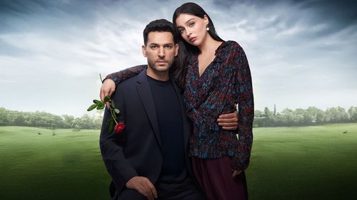 Sins and Roses