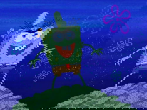 Moldy Sponge