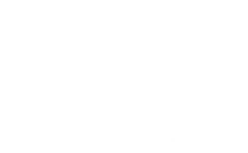 The Naked Director