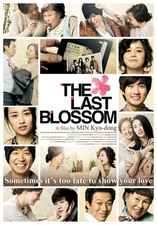 The Last Blossom Movie Poster Image