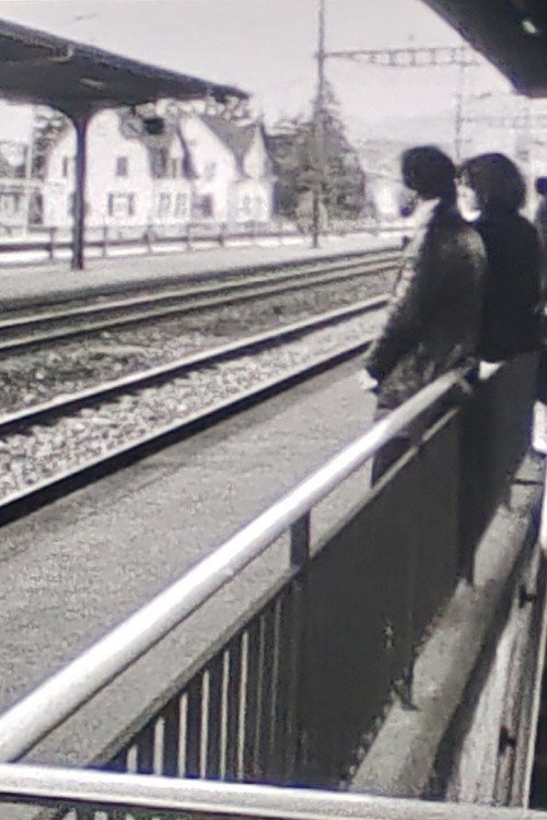 Der Zug hält nirgends - FİLM Afişi