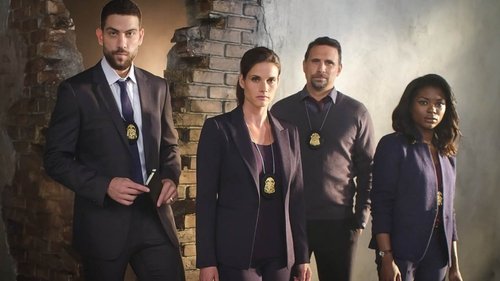 Fbi 3x1