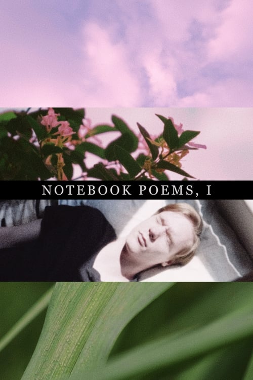 Notebook Poems, Vol. 1 2020
