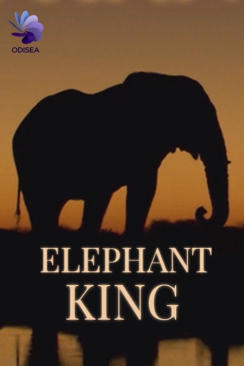 Elephant king movie poster player
