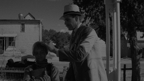 Paper Moon — Backdrops 10