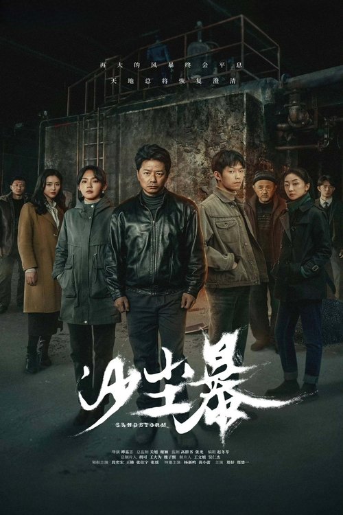 【国产剧】【 沙尘暴 (2025)】4K全集|段奕宏、王锵、张佳宁|一桩焚尸旧案被重查，基层民警陈江河也被紧急调回|【沙尘暴】 原名：沙尘暴