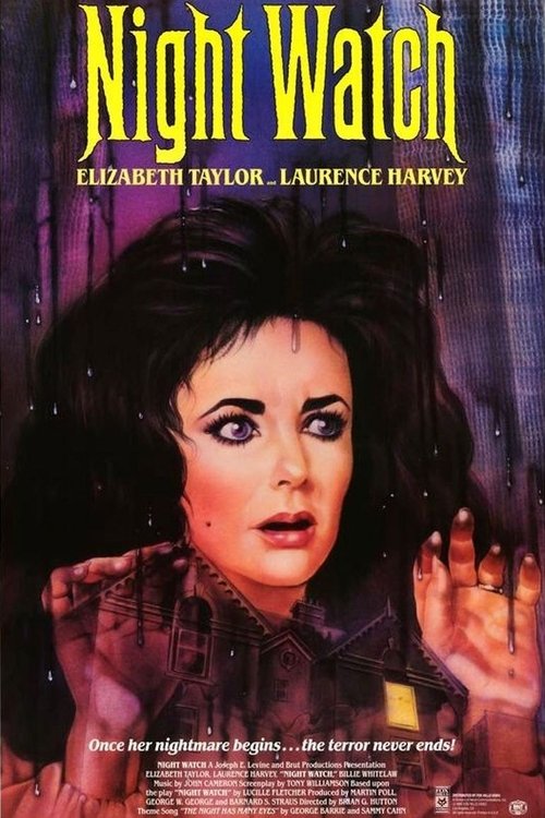 Night Watch poster