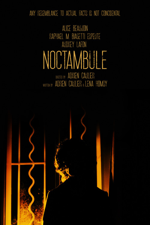 Noctambule poster