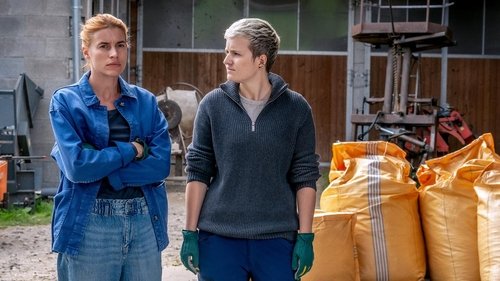 Image de l'épisode 11