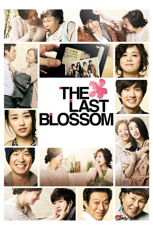 The Last Blossom