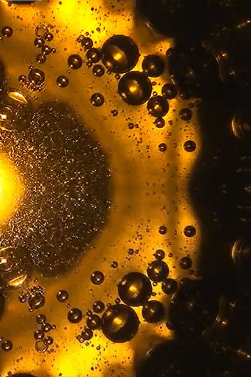 Oil and Water (2011) poster