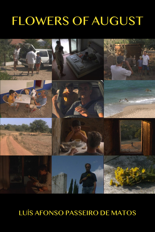 Flores de Agosto