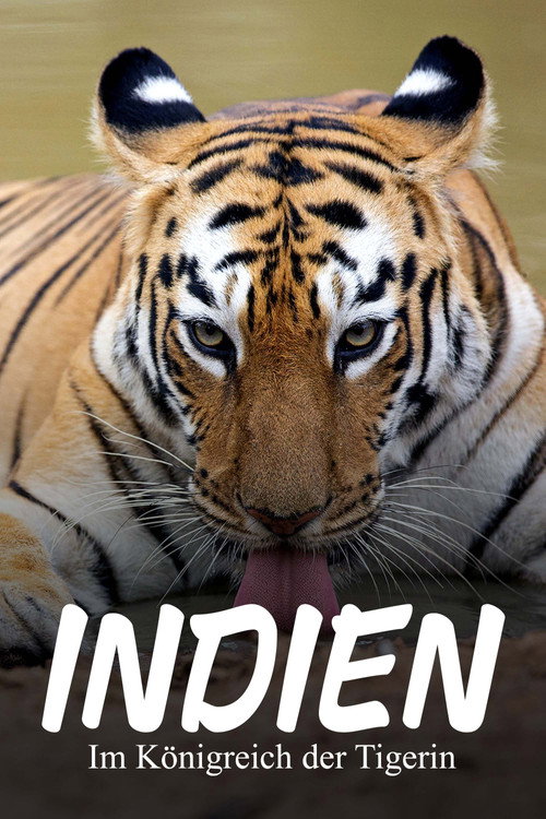 Affiche de Maya, la tigresse du Maharashtra